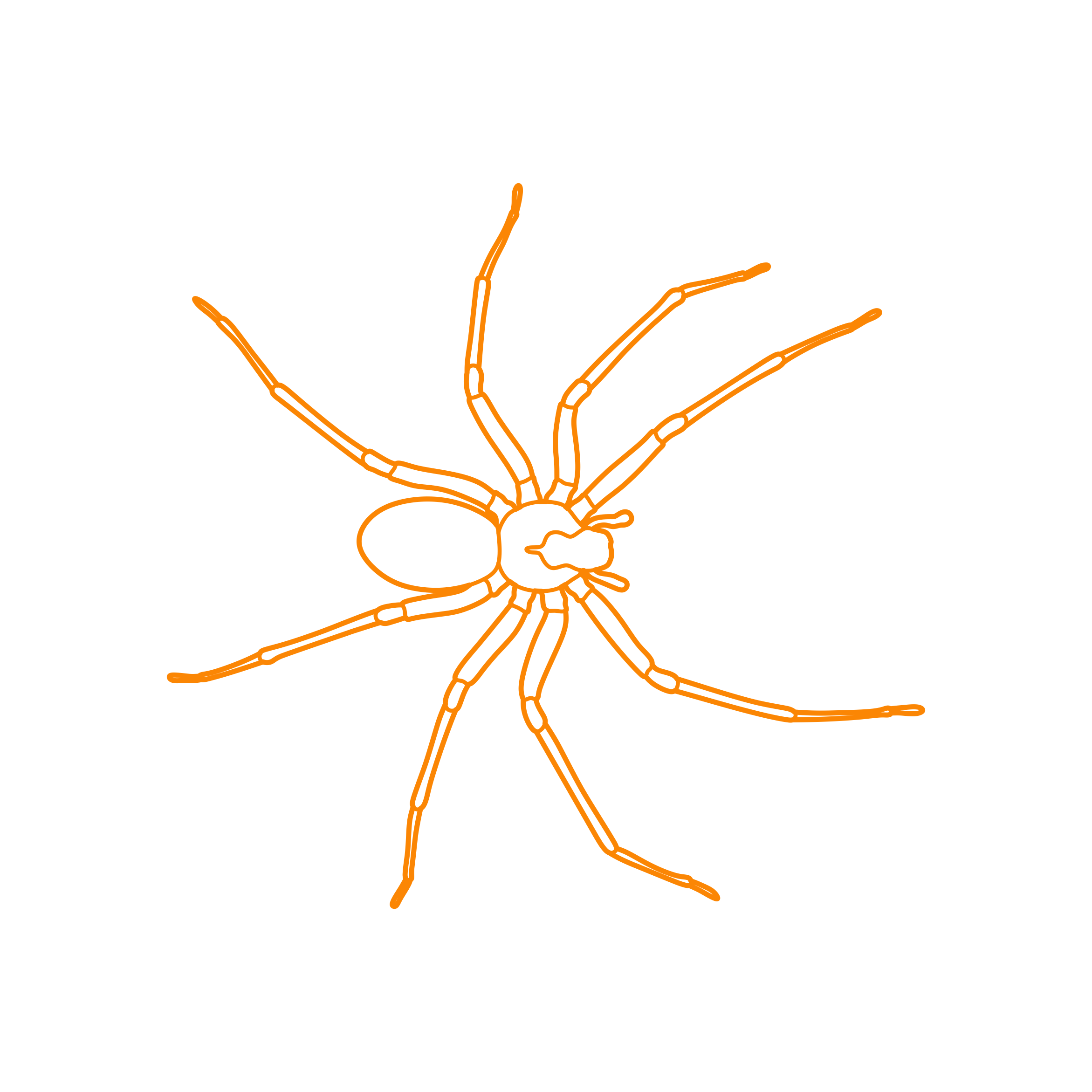 Animals Arachnids Sketch Style Svg Vector Free Vectors